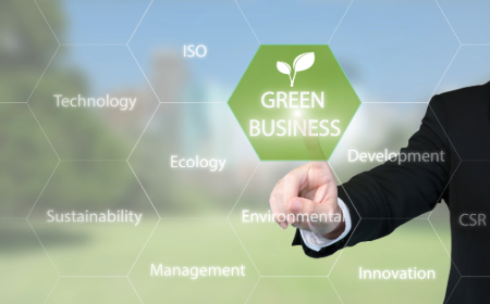 sustainable, green businesses